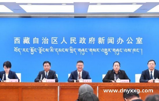 西藏那曲即将迎来2025年恰青赛马盛会